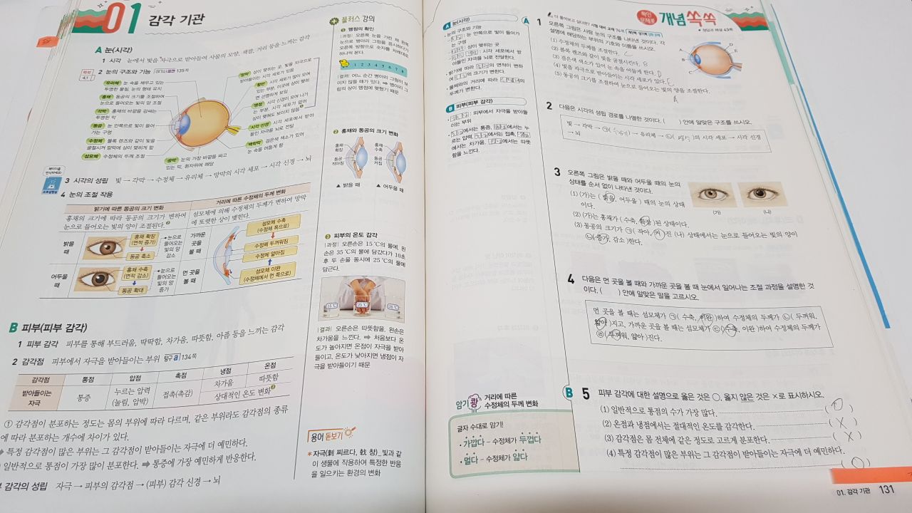 20200816_083551_compress43.jpg